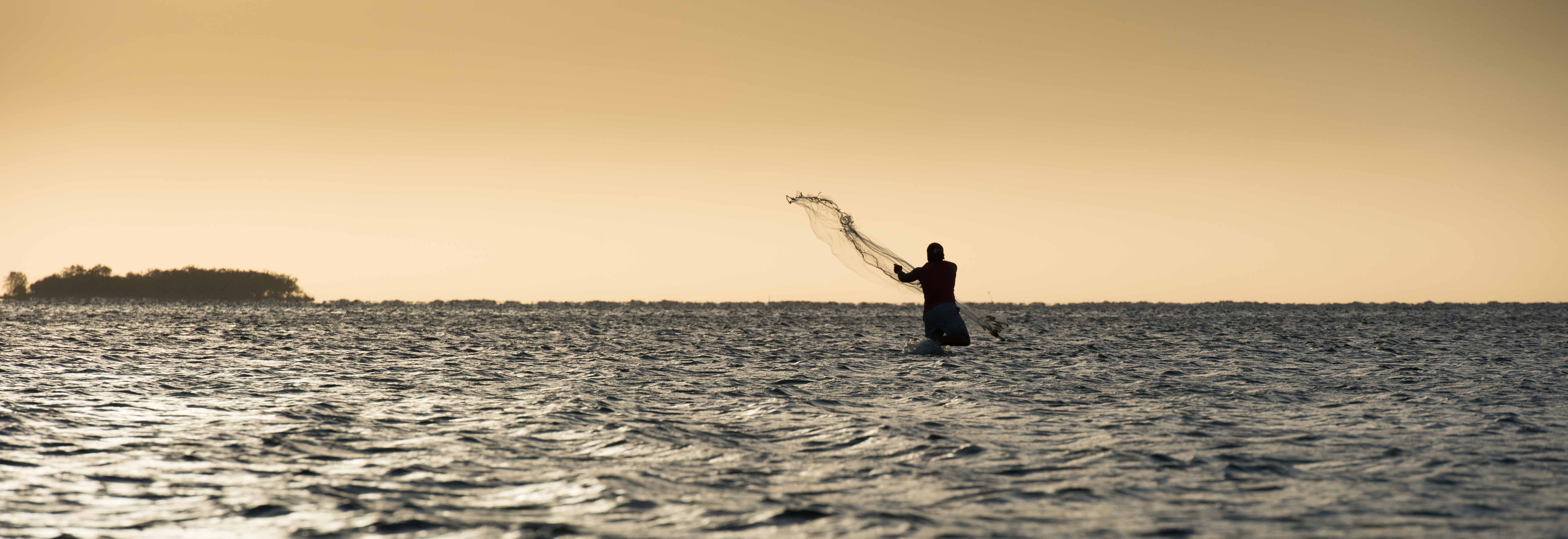 A fisher casting a net into the Pacific at sunset